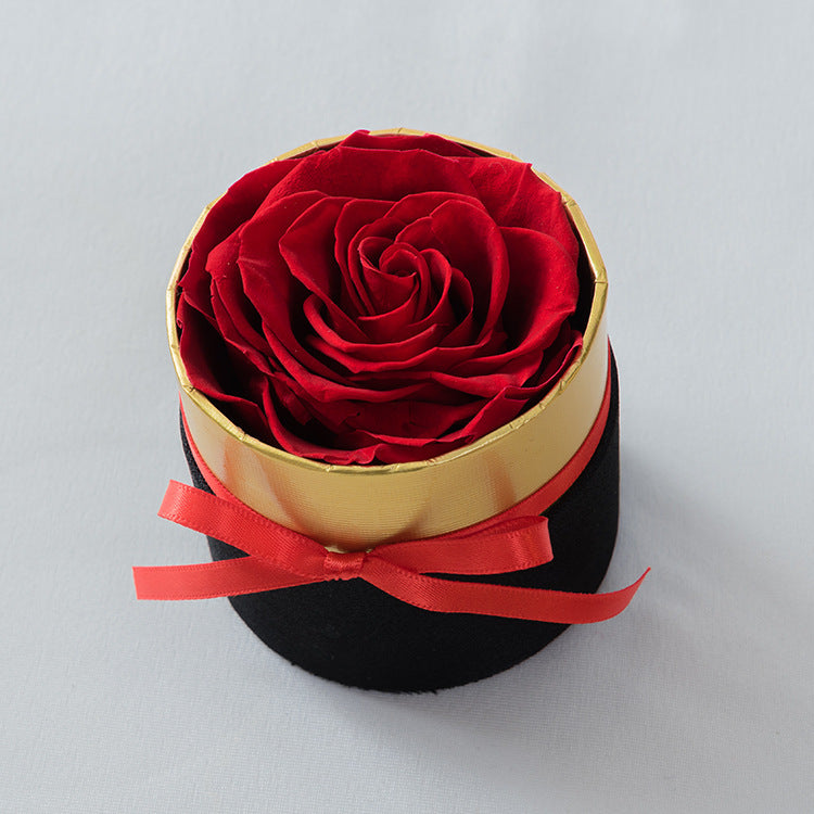 Pot de fleurs en cœur Moyyudé avec une rose rouge séchée ornée d'un ruban rouge