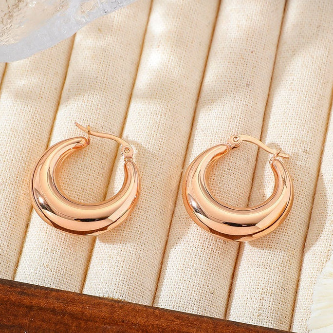 18K Vacuum Gold Plated Stainless Steel Earrings - Moyyudé
